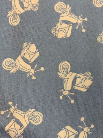 Picture of Scooters Blue 1655