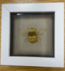 Picture of Goldwork Bee-Hand Embroidery*Newport *  Thursday 18th January 2024