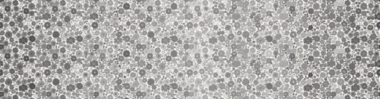 Picture of Lewis & Irene Greyscale boho blooms ombre - OM3C